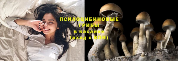мет Белокуриха
