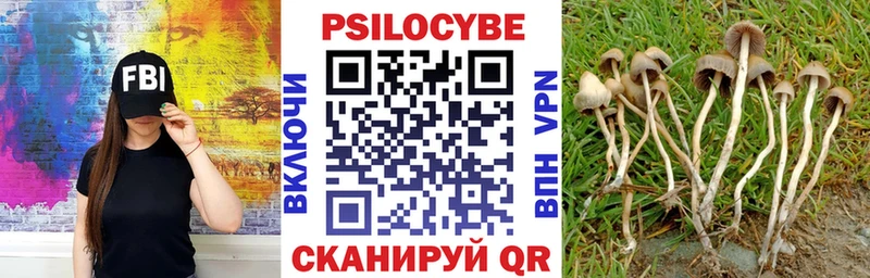 Псилоцибиновые грибы мухоморы Мезень